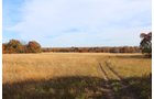 Tract 11 - OKLAHOMA LAND & REAL ESTATE AUCTION, 438 +/- Acres offered in 13 Tracts